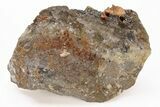 Yellow Fluorite Cluster w/ Pyrite - Moscona Mine #219077-1